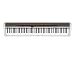 Musical Instruments : Casio PX200 Privia Digital Piano with Hammer Action