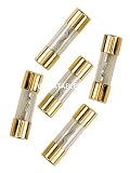 Boss GF40 Gold 40 Amplifier Fuse - 5 Pack (Gold)