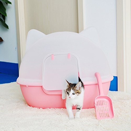Litter Box Enclosures