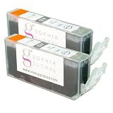 Sophia Global Compatible Ink Cartridge Replacement for Canon CLI-226 (2 Gray)