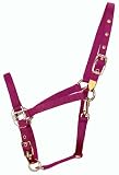 Hamilton 8DAS AVWN 3/4-Inch Nylon Arabian Horse Halter for 800 to 1100-Pound Horse, with Adjustable Chin and Throat Snap, Wine