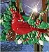 10 Pc Cardinal Bird Lantern Walkway Path Stake Holiday Lawn Decoration