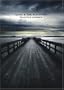 Echo & the Bunnymen: Dancing Horses