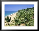 Beach and Coconut Palms, Kovalam Beach, Kerala State, India Photography Framed Art Poster Print by Gavin Hellier, 31x25