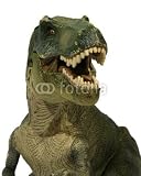 Wallmonkeys Peel and Stick Wall Decals - Tyranosaure - Dynosaure - 36H x 29W Removable Graphic