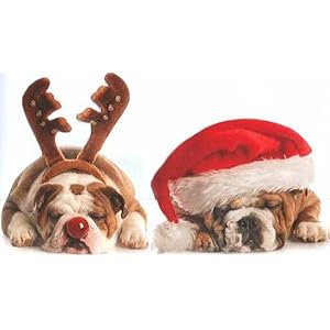 Bulldog Christmas Cards