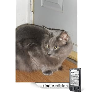 Fuzzball is Very Fast (Fuzzball the Cat) (Kindle Edition)