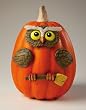 Pumpkin Wear Owl