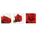 Rose Trio Box Art 3-pc. Set