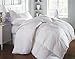 1200 Thread-Count TWIN / TWIN EXTRA LONG (XL) Size Siberian Goose Down Alternative Comforter SOLID WHITE, 100% Egyptian Cotton 750FP, 50Oz