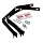 Quakehold! 4160 Furniture Strap Kit, Black