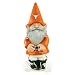University of Texas Garden Gnome