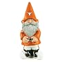 University of Texas Garden Gnome