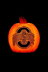 Ohio State Buckeyes Pumpkin Luminary includes 8 hour timer function 7 1/4"x6" - Ohio State