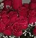 84 Silk Rose Flowers w/Raindrops - Wedding Flowers - Bridal/Floral - Red