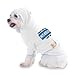 YOU'VE NEVER MET A WHITE WATER RAFTER LIKE ME! Hooded T-Shirt for Dog or Cat Small White