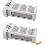 DJI Battery for Phantom 2 and Phantom 2 Vision (Two Pack)