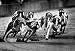 Greyhound Racing at Derby Lane Archival Photo Poster - 13x19