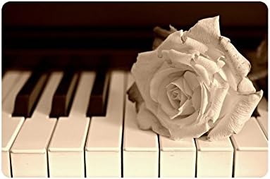 Piano Keys Custom Doormat Entrance Mat Floor Mat Rug Indoor/Outdoor/Front Door/Bathroom Mats Rubber Non Slip Size 23.6 x 15.7 inches