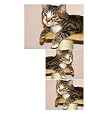 Siwo - Design Katzen Fliesen Dekoration (401)