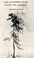 One Hundred Poems From The Japanese