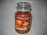 Yankee Candle Large 22-Ounce Jar Candle, Spiced Pumpkin