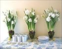 Paperwhite Nir in a Trio of Olive Bermuda Vases