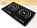 True Induction Cooktop- Double Burner- Energy Efficient S2F2