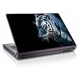 quad core laptop Original "Animaux