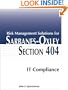 Risk Management Solutions for Sarbanes-Oxley Section 404 IT Compliance
