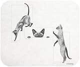 Posh Peeping Toms Black White Cat Mouse Pad MousePad