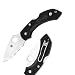 Spyderco Dragonfly2 Lightweight Black FRN SpyderEdge Knife