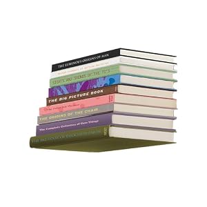Umbra 330632-560 Conceal Invisible Book Shelf Floating Book Shelf Large