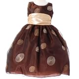 Sweet Kids Girl Brown Polka Dot Flower Girl Easter Pageant Dress 6M-12