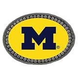 Michigan Wolverines NCAA Team Logo Pewter Lapel Pin