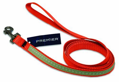 Nite Lite Collar Medium 1 Orange
