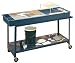 Hubbard Scientific 916 Hydro-Geology Stream Tablewith cart and all Accessories