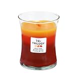41dvwT%2B%2BkrL. SL160  Woodwick Candle Autumn Greetings Trilogy Medium Jar Reviews