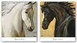 Strider, Detail Set by Karen Leibrick 18"x18" Art Print Poster
