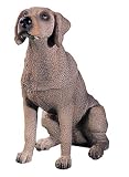 Weimaraner – Collectible Statue Figurine Figure Dog Puppy Sculpture 41dvwzTIh0L. SL160 Uncle Sam Skeleton Head Collectible Skull Figurine Statue Sculpture