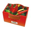 Minipflanzset Chili