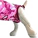 Suitical Recovery Suit for Dogs - Spay & Neutering Dog Surgery Recovery Suit for Male or Female - Soft Fabric for Skin Conditions - L, Neck to Tail 26.4-29.9 Inch, Chest 31-42 Inch - Pink Camouflage