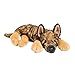 Douglas MYA German Shepherd