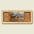 Serving Tray for appetizers ~ Deer: Our Side of the River ~ almost 16 inches ...