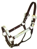 Halter Gold Scroll Silver Bar Horse Show Halter
