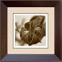 Phoenix Galleries HP265A Crepe Myrtle Single Framed Photograph