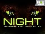 play video on Amazon Instant Video