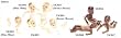 Heidi Ott Nude Baby To Dress Dollhouse Miniature
