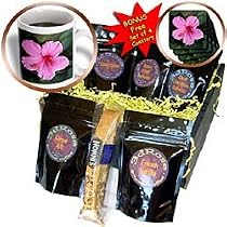 Flowers - Pink Hibiscus - Coffee Gift Baskets - Coffee Gift Basket