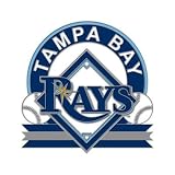 Tampa Bay Rays Official Logo Silver Lapel Pin